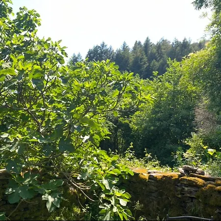 La Soue 4 Persoons In Walnotenboomgaard 別荘